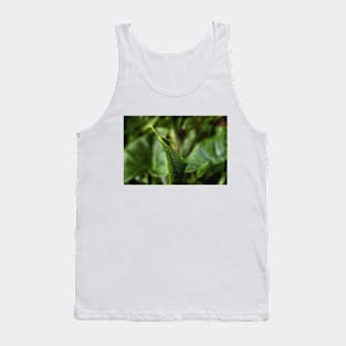 Young Green Calla Lily Leaf Tank Top